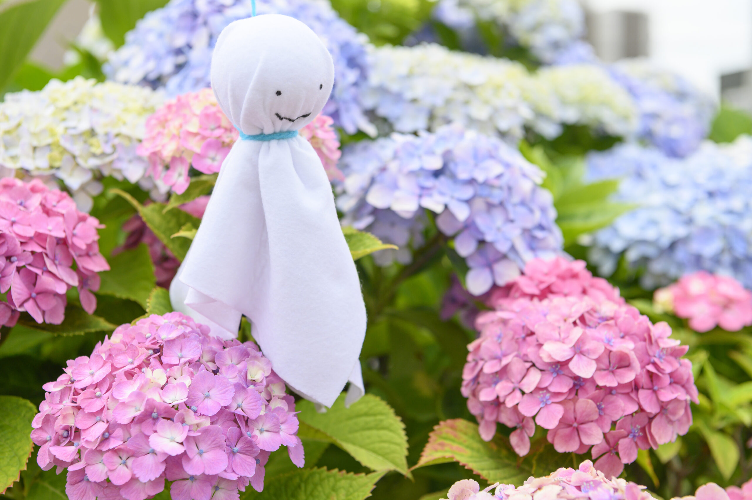 あっぷる広場 – 6月18日（水）-